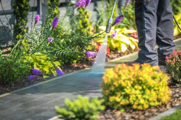 Reliable Winnsboro, TX  Pressure Washing Services Solutions