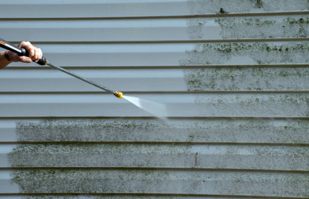 Animal Enclosure Cleaning in Winnsboro, TX